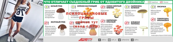 тгк Арсеньев