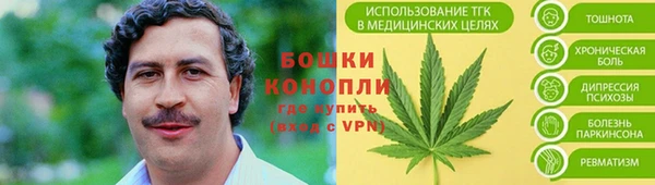 ГАЛЛЮЦИНОГЕННЫЕ ГРИБЫ Армянск